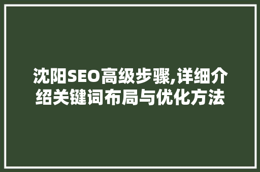 沈阳SEO高级步骤,详细介绍关键词布局与优化方法