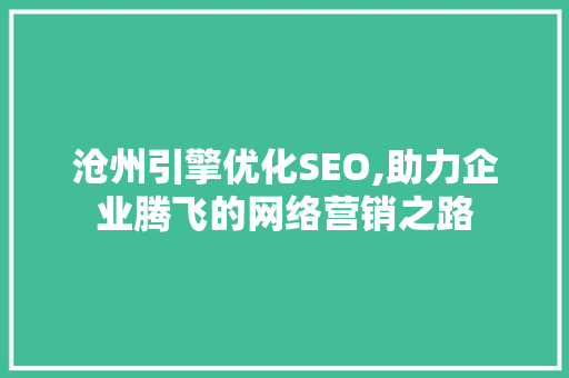沧州引擎优化SEO,助力企业腾飞的网络营销之路