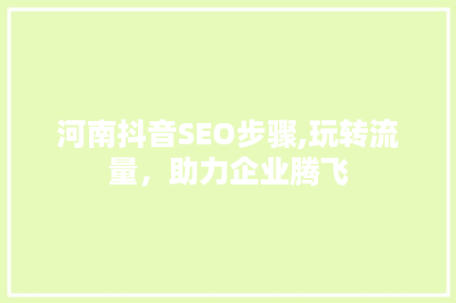 河南抖音SEO步骤,玩转流量，助力企业腾飞