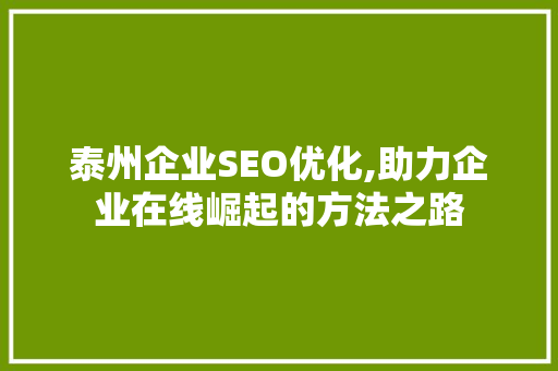 泰州企业SEO优化,助力企业在线崛起的方法之路