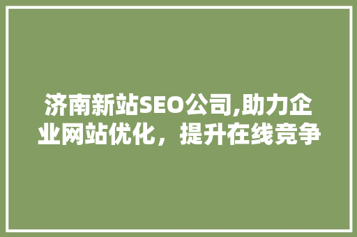 济南新站SEO公司,助力企业网站优化，提升在线竞争力