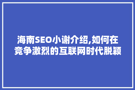 海南SEO小谢介绍,如何在竞争激烈的互联网时代脱颖而出