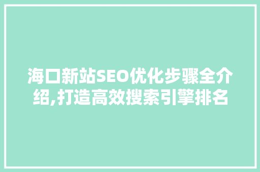 海口新站SEO优化步骤全介绍,打造高效搜索引擎排名