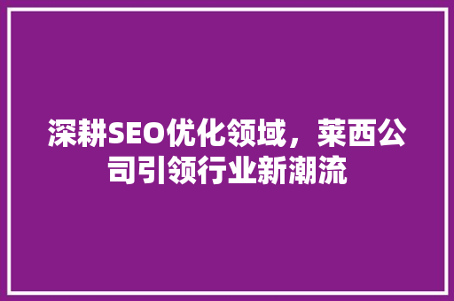 深耕SEO优化领域，莱西公司引领行业新潮流