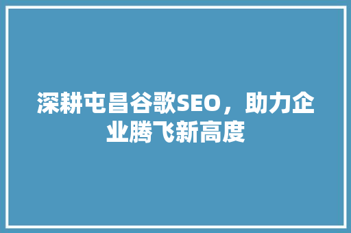 深耕屯昌谷歌SEO，助力企业腾飞新高度