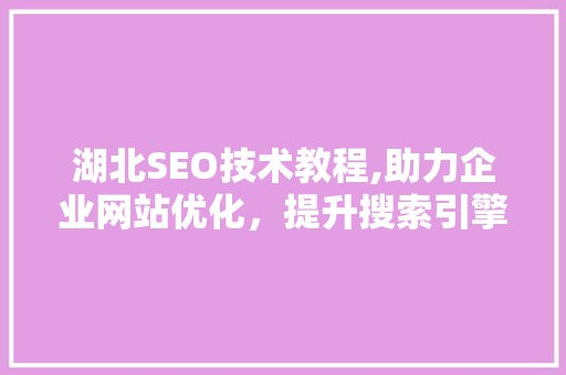 湖北SEO技术教程,助力企业网站优化，提升搜索引擎排名