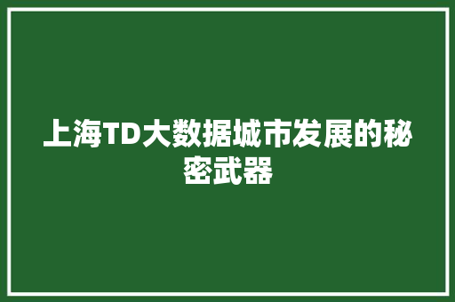 上海TD大数据城市发展的秘密武器