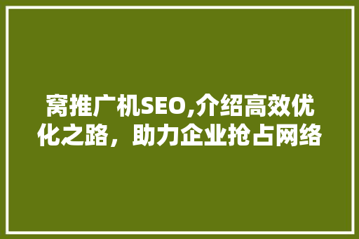 窝推广机SEO,介绍高效优化之路，助力企业抢占网络市场制高点