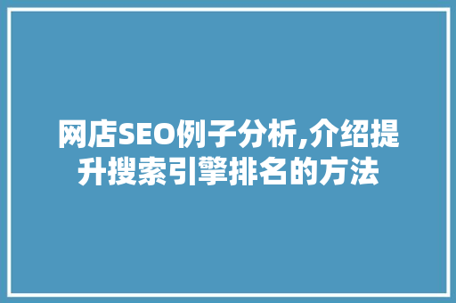 网店SEO例子分析,介绍提升搜索引擎排名的方法