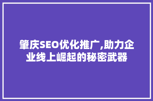 肇庆SEO优化推广,助力企业线上崛起的秘密武器