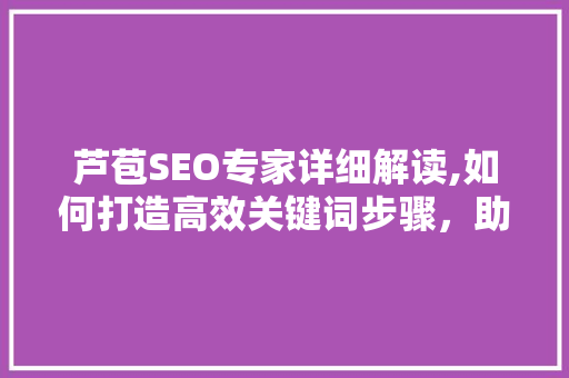 芦苞SEO专家详细解读,如何打造高效关键词步骤，助力企业网络营销