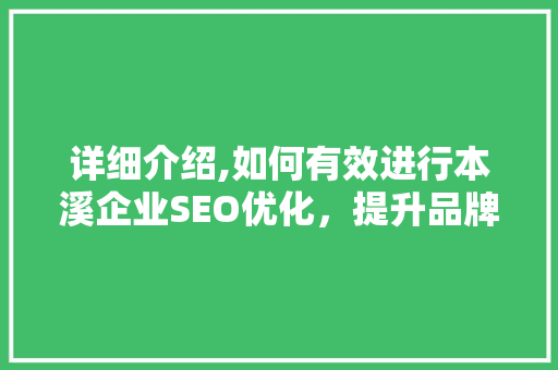 详细介绍,如何有效进行本溪企业SEO优化，提升品牌影响力
