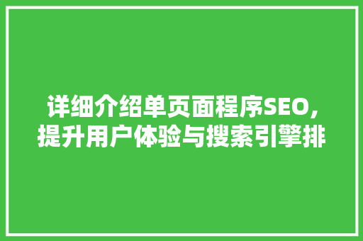 详细介绍单页面程序SEO,提升用户体验与搜索引擎排名的关键步骤