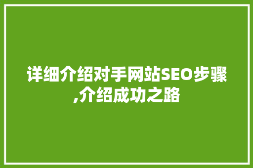 详细介绍对手网站SEO步骤,介绍成功之路