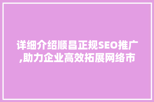 详细介绍顺昌正规SEO推广,助力企业高效拓展网络市场