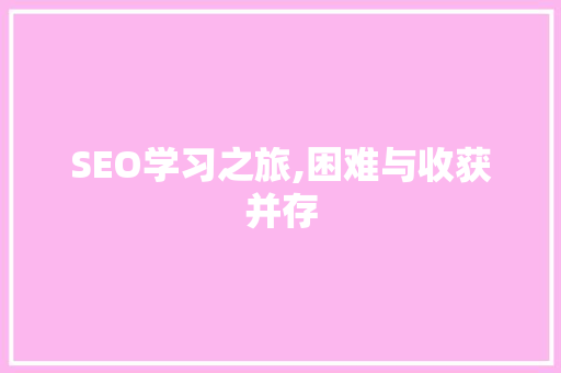 SEO学习之旅,困难与收获并存
