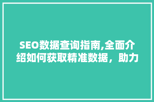 SEO数据查询指南,全面介绍如何获取精准数据，助力网站优化