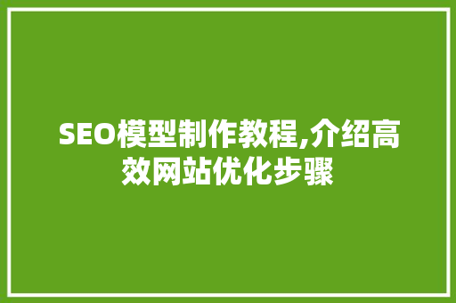 SEO模型制作教程,介绍高效网站优化步骤