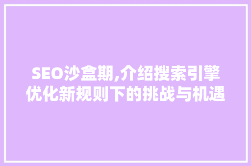 SEO沙盒期,介绍搜索引擎优化新规则下的挑战与机遇