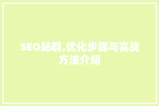 SEO站群,优化步骤与实战方法介绍