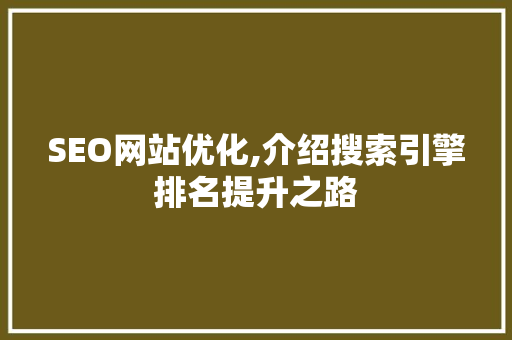 SEO网站优化,介绍搜索引擎排名提升之路