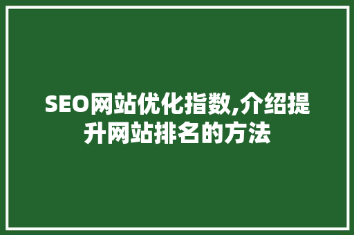 SEO网站优化指数,介绍提升网站排名的方法