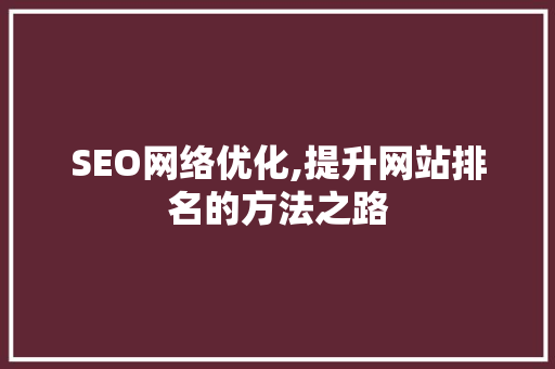 SEO网络优化,提升网站排名的方法之路