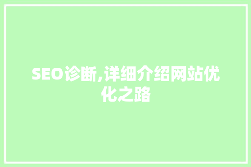 SEO诊断,详细介绍网站优化之路