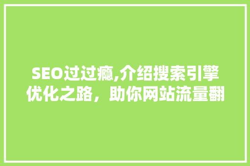 SEO过过瘾,介绍搜索引擎优化之路，助你网站流量翻倍