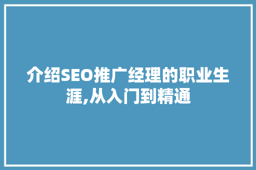 介绍SEO推广经理的职业生涯,从入门到精通