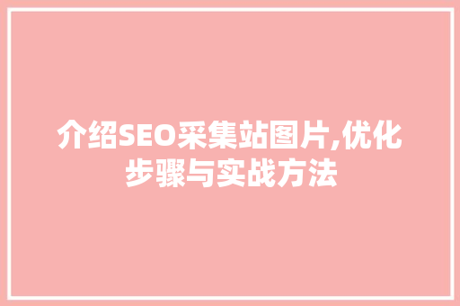 介绍SEO采集站图片,优化步骤与实战方法  第1张