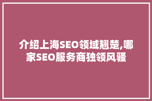 介绍上海SEO领域翘楚,哪家SEO服务商独领风骚