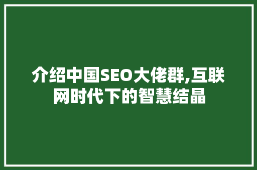 介绍中国SEO大佬群,互联网时代下的智慧结晶  第1张