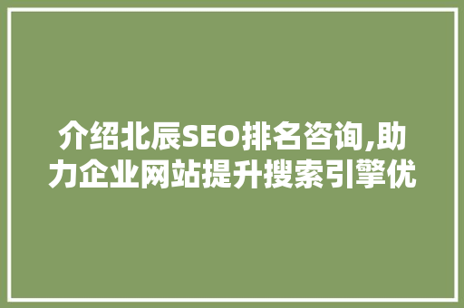 介绍北辰SEO排名咨询,助力企业网站提升搜索引擎优化效果