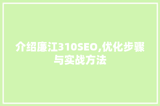 介绍廉江310SEO,优化步骤与实战方法