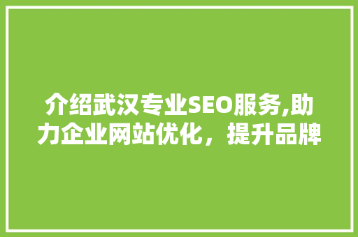 介绍武汉专业SEO服务,助力企业网站优化，提升品牌影响力