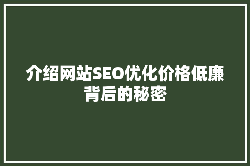 介绍网站SEO优化价格低廉背后的秘密