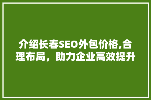 介绍长春SEO外包价格,合理布局，助力企业高效提升网站排名