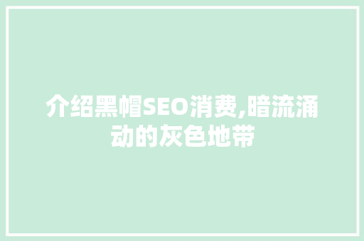 介绍黑帽SEO消费,暗流涌动的灰色地带