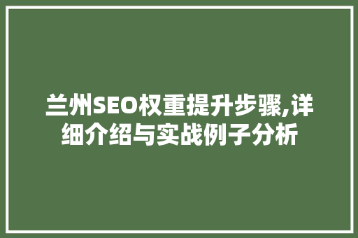 兰州SEO权重提升步骤,详细介绍与实战例子分析  第1张