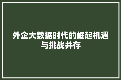 外企大数据时代的崛起机遇与挑战并存  第1张