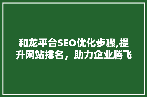 和龙平台SEO优化步骤,提升网站排名，助力企业腾飞