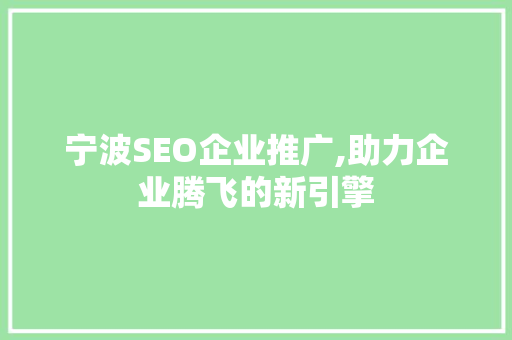 宁波SEO企业推广,助力企业腾飞的新引擎