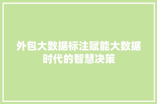 外包大数据标注赋能大数据时代的智慧决策  第1张