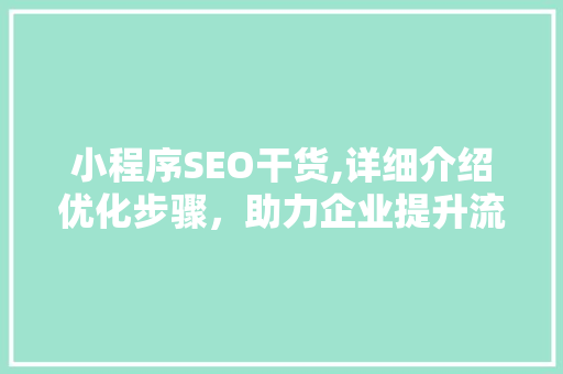 小程序SEO干货,详细介绍优化步骤，助力企业提升流量与转化