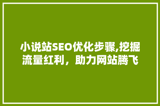小说站SEO优化步骤,挖掘流量红利，助力网站腾飞