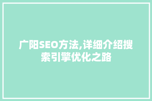广阳SEO方法,详细介绍搜索引擎优化之路