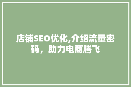 店铺SEO优化,介绍流量密码，助力电商腾飞