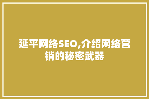 延平网络SEO,介绍网络营销的秘密武器  第1张
