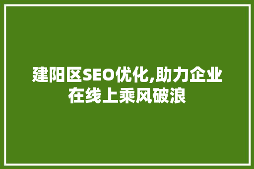 建阳区SEO优化,助力企业在线上乘风破浪